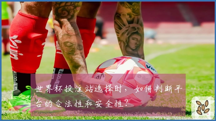 世界杯投注站选择时，如何判断平台的合法性和安全性？
